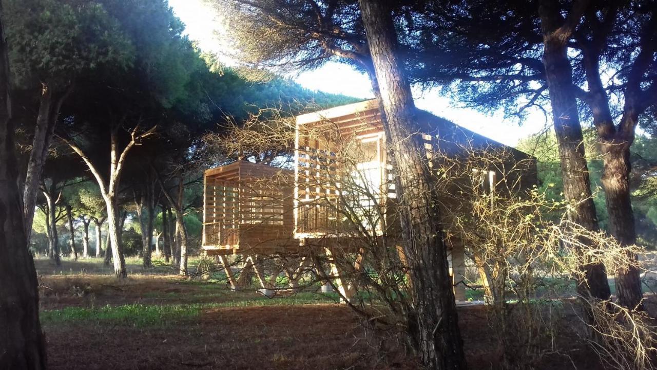 Micielo - Baumhaeuser Vejer de la Frontera Luaran gambar
