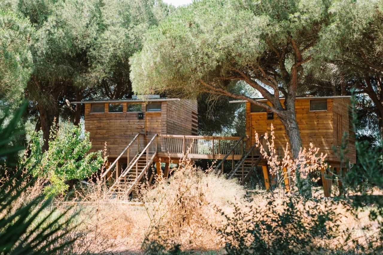 Micielo - Baumhaeuser Vejer de la Frontera Luaran gambar